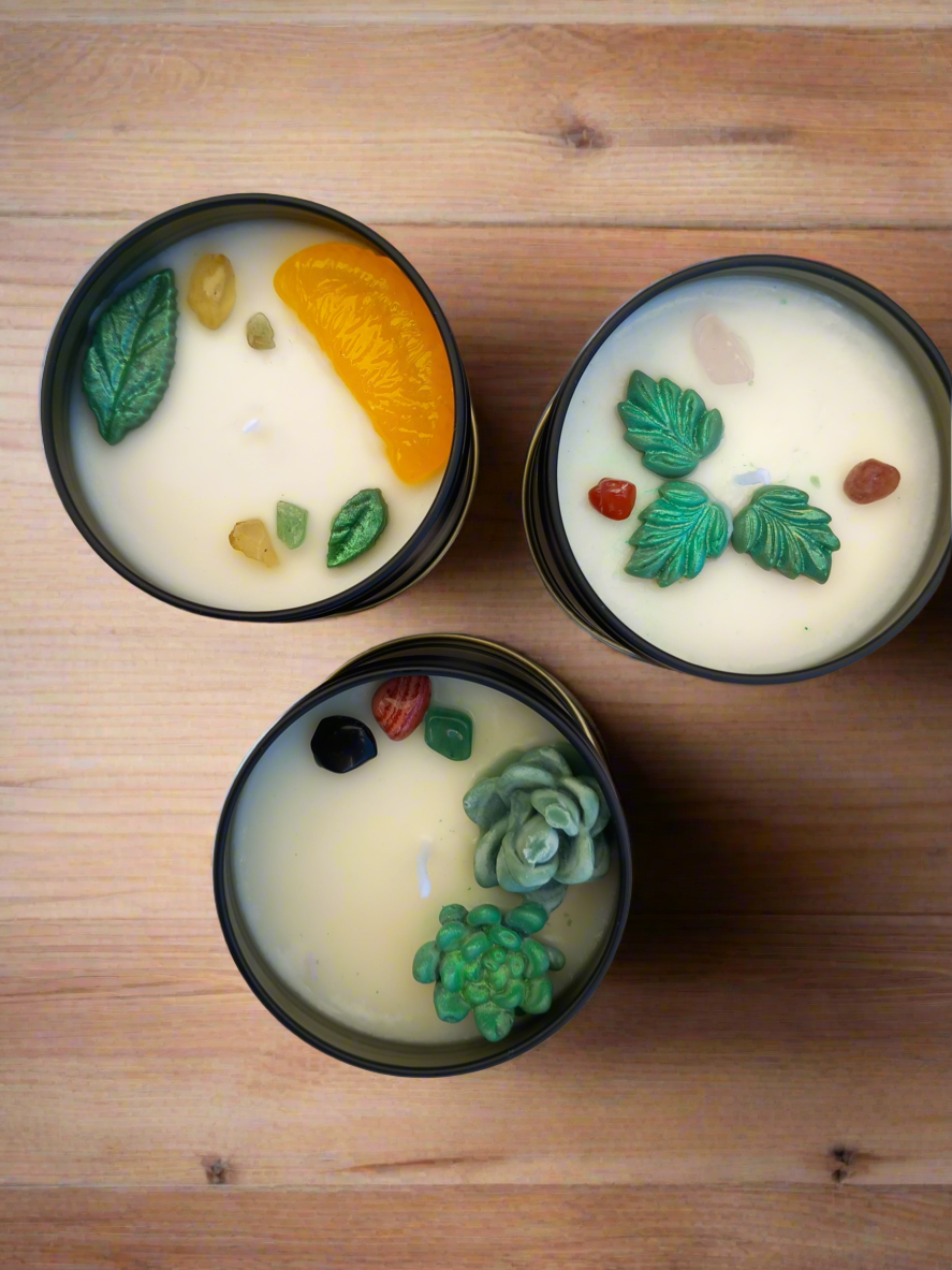 Citrus Burst (Collection)