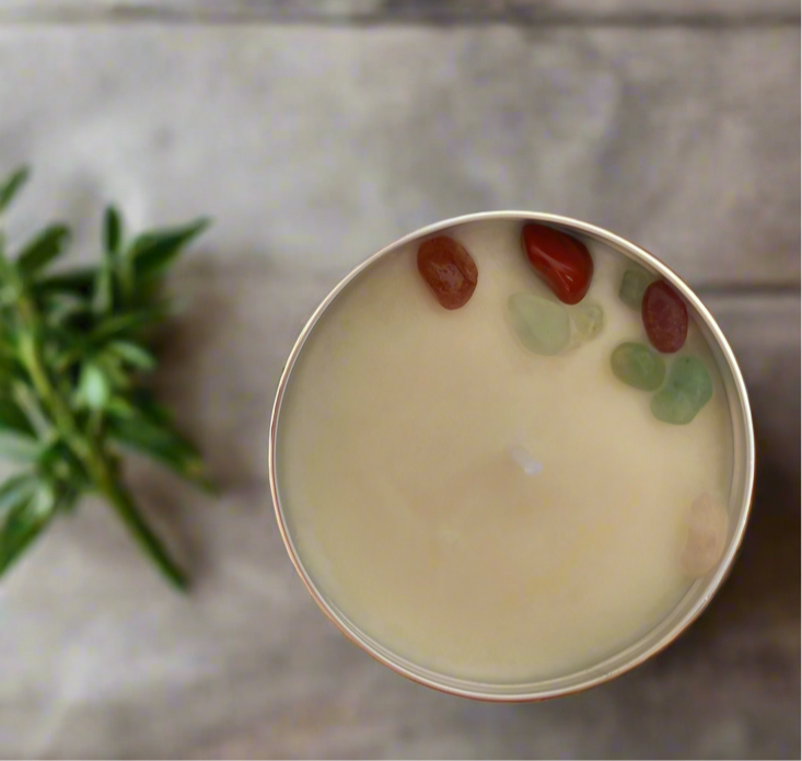 Citrus Burst (Collection)