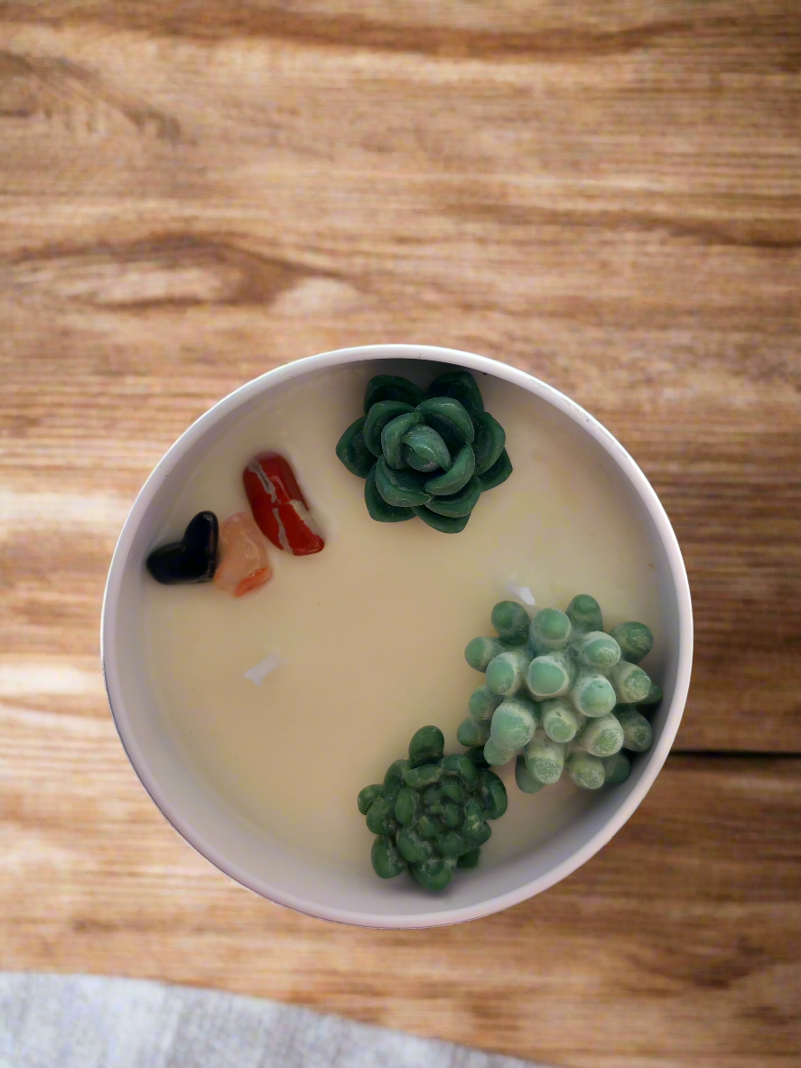 Citrus Burst (Collection)