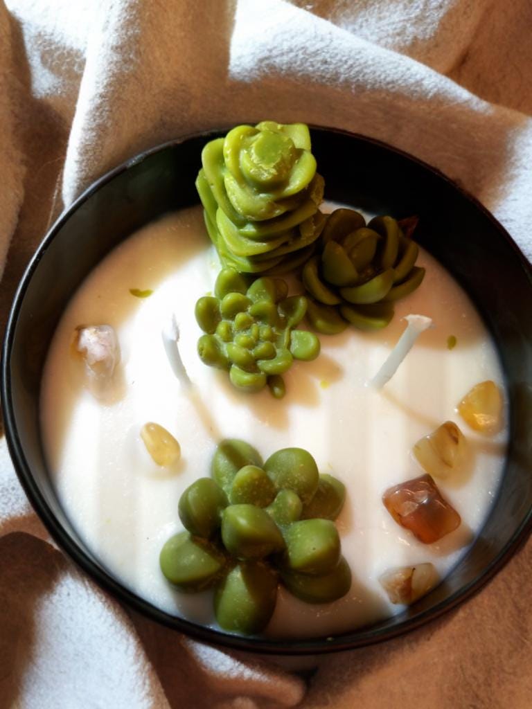 Citrus Burst (Collection)