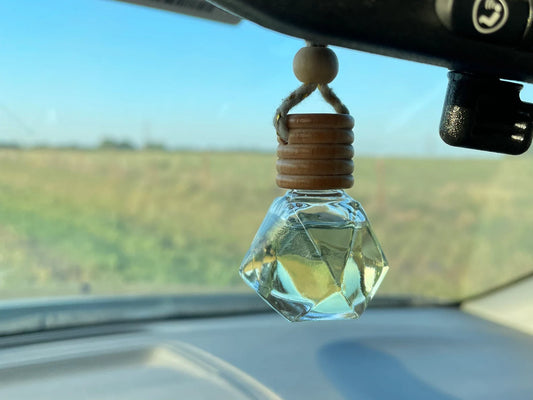 Hanging Car Diffuser