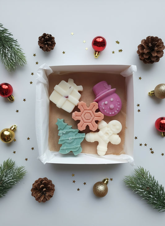 Christmas wax melt selection box